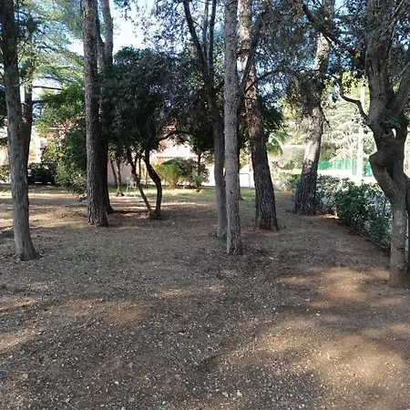 A *