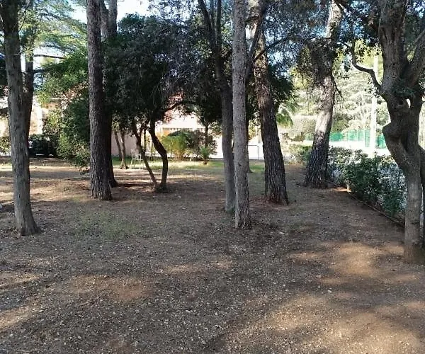 A *